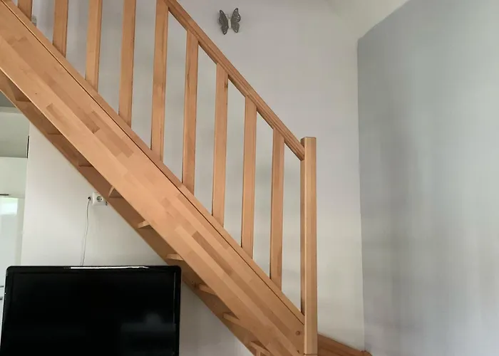 別荘 Mueritz Beli *